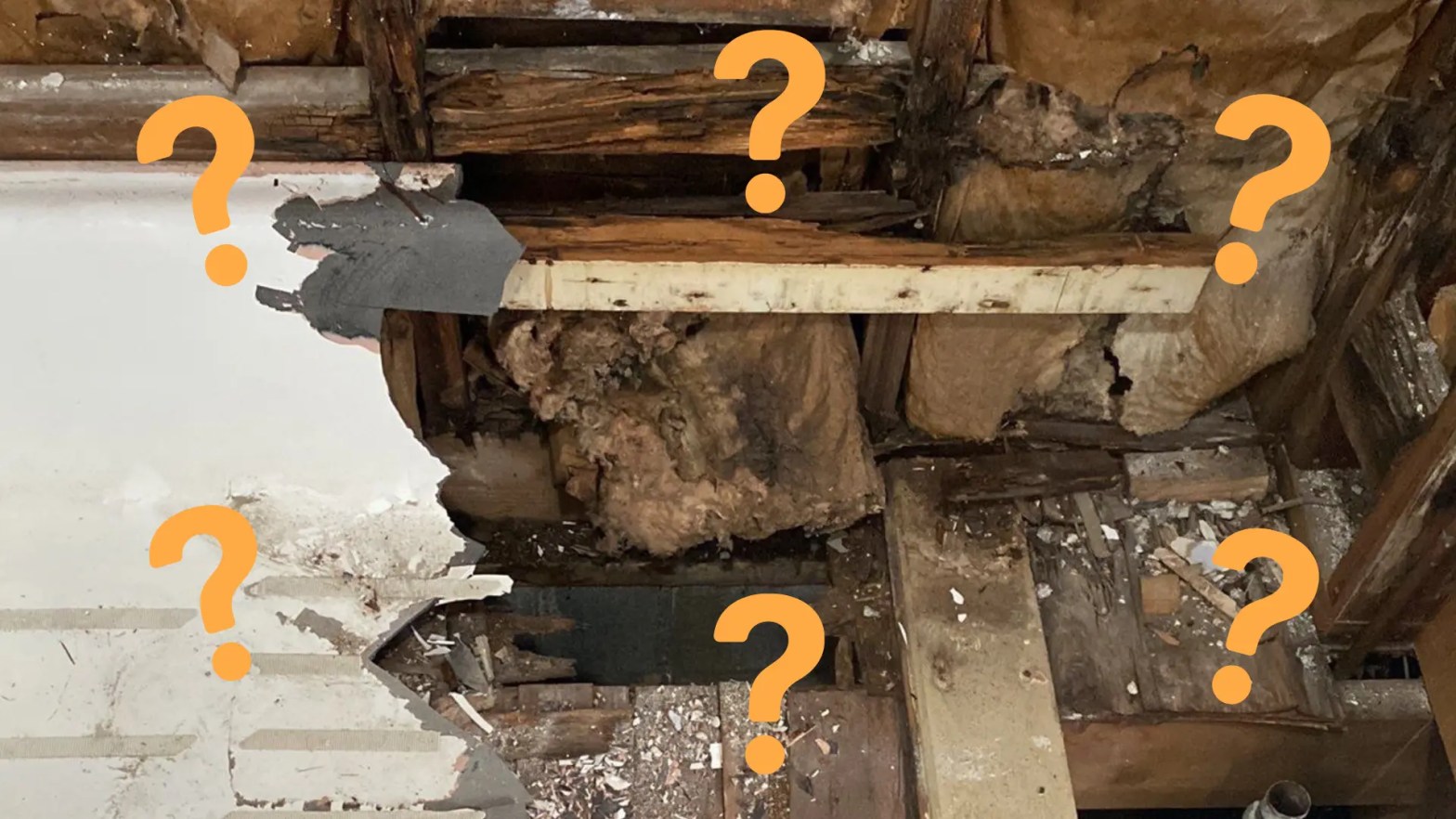 Wood Rot in Home