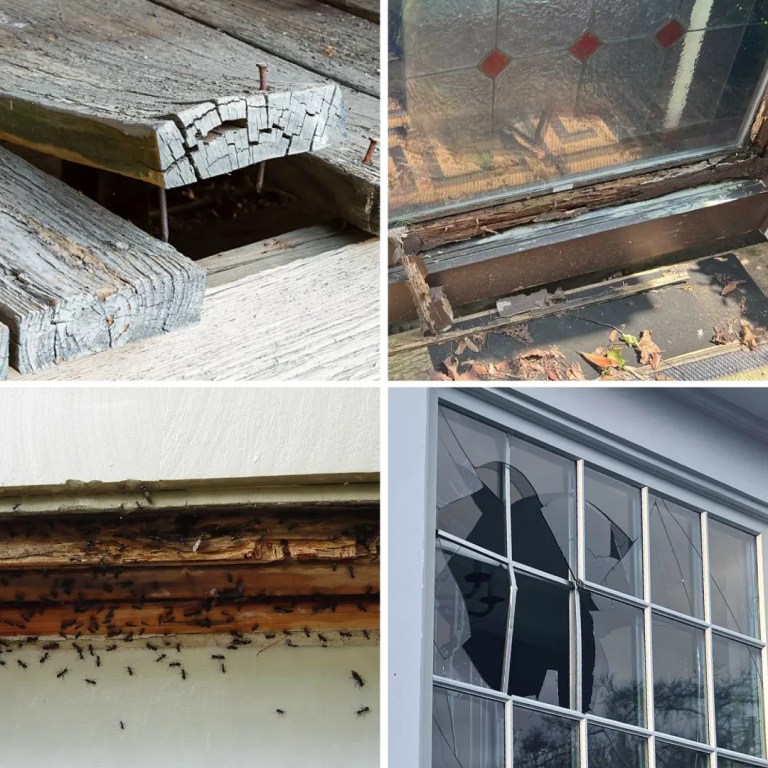 Signs of winter damage found in your home!